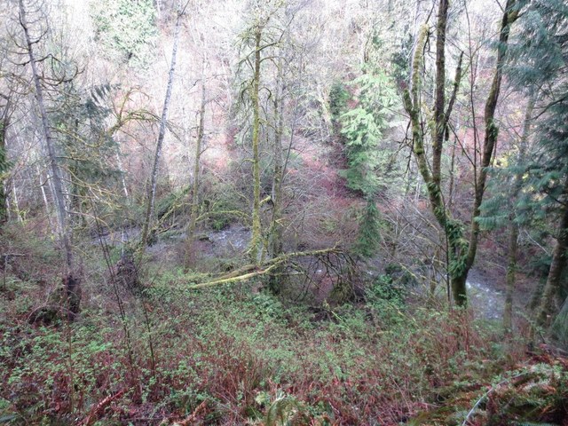 Swan Creek Trail looking down from Rim Trail.  Photo by geekguyandy