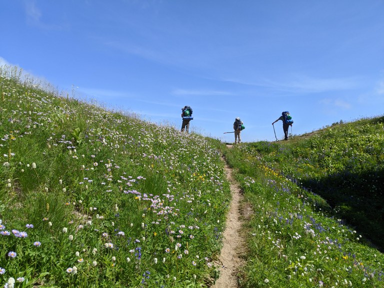 Three volunteers are silhouetted against the blue sky at a saddle of a hill