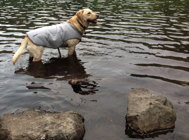Treen rewets the vest in a more traditional method of cooling off: a quick dip in a mountain lake. Photo by John Soltys. 