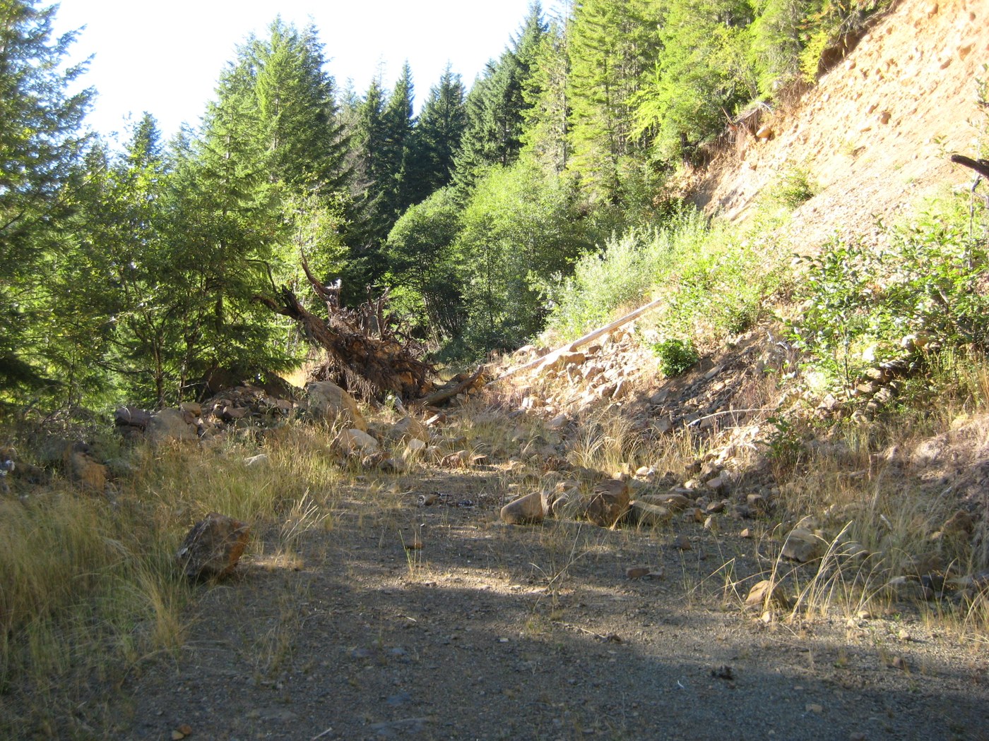 Rockslide blocking the way to the trail head on FR2120