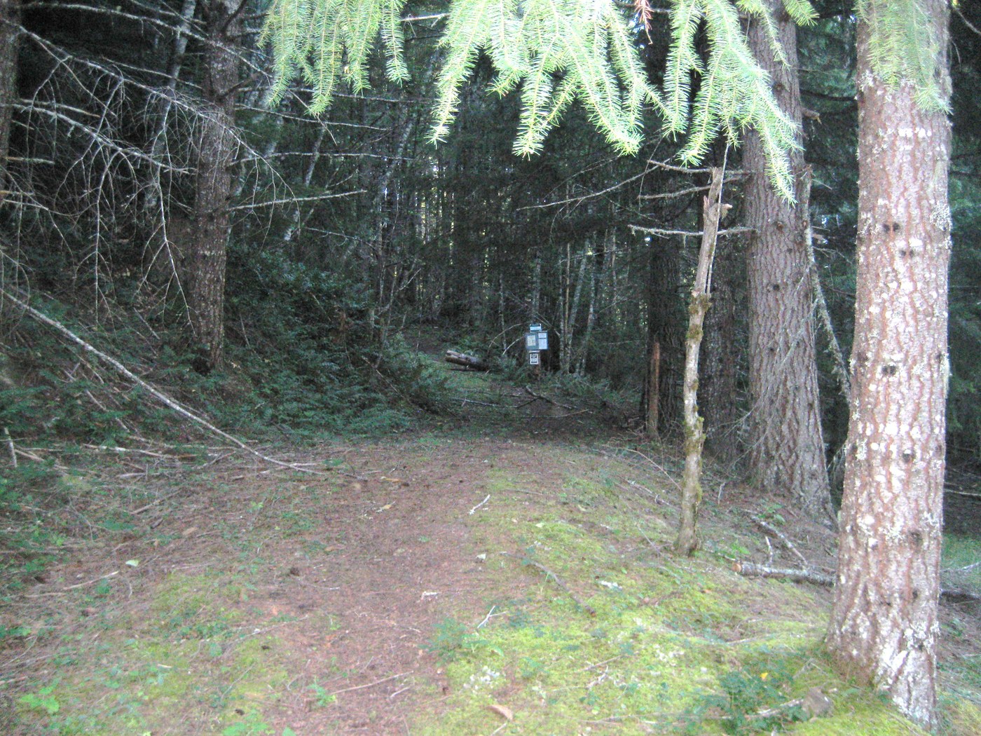 Trailhead for Angry Mountail (#90)