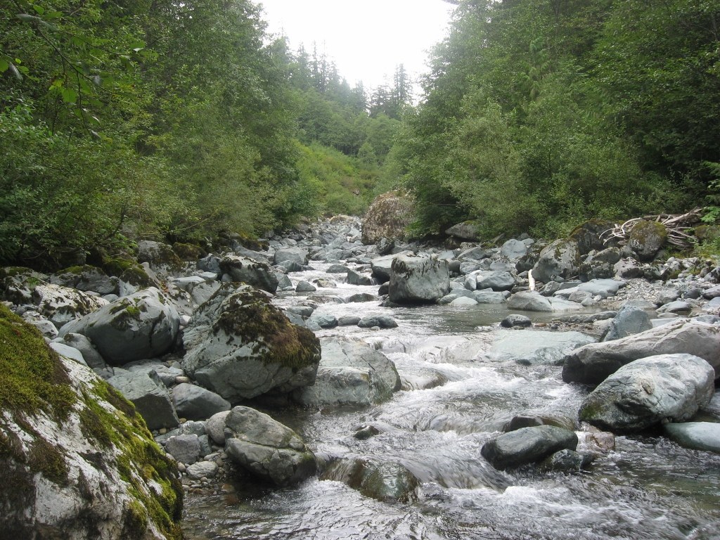 Swift Creek Trail