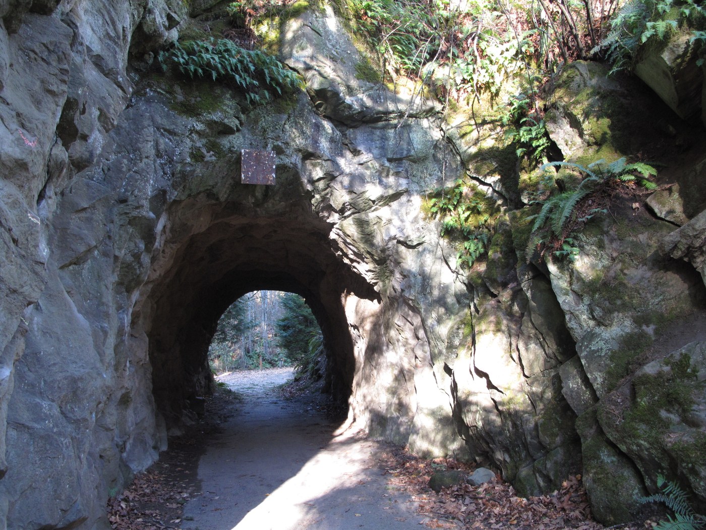 The Huntoon Road tunnel near the top of Sehome Hill