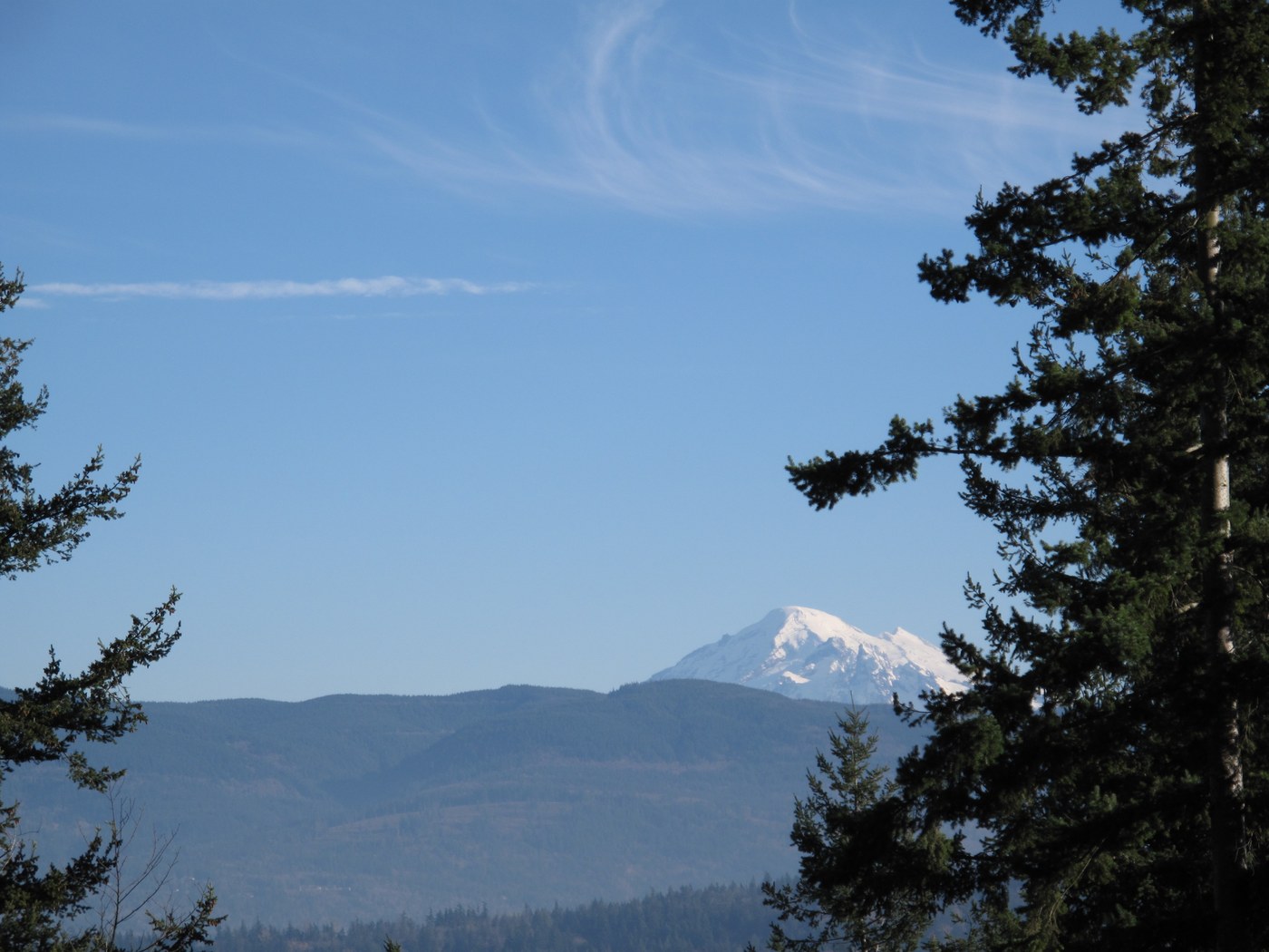 Mt Baker from the view tower