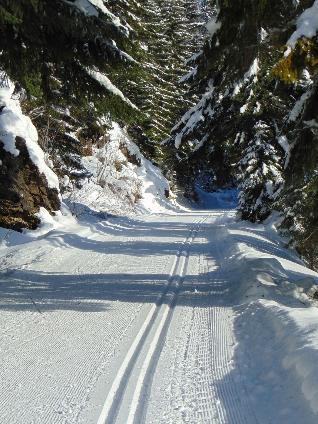 The area is nicely groomed for new skiers and skaters
