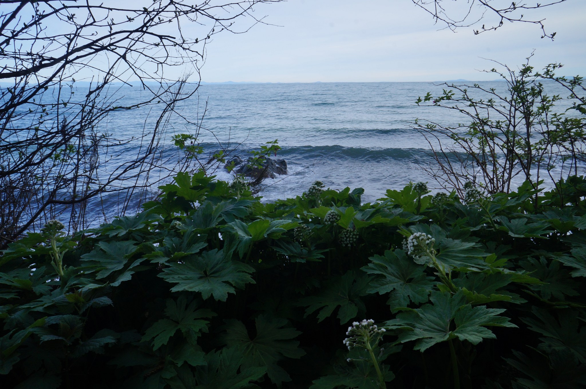 All rights reserved Jessica McGinley