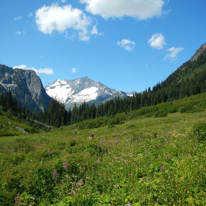 Meadows along Fisher Creek