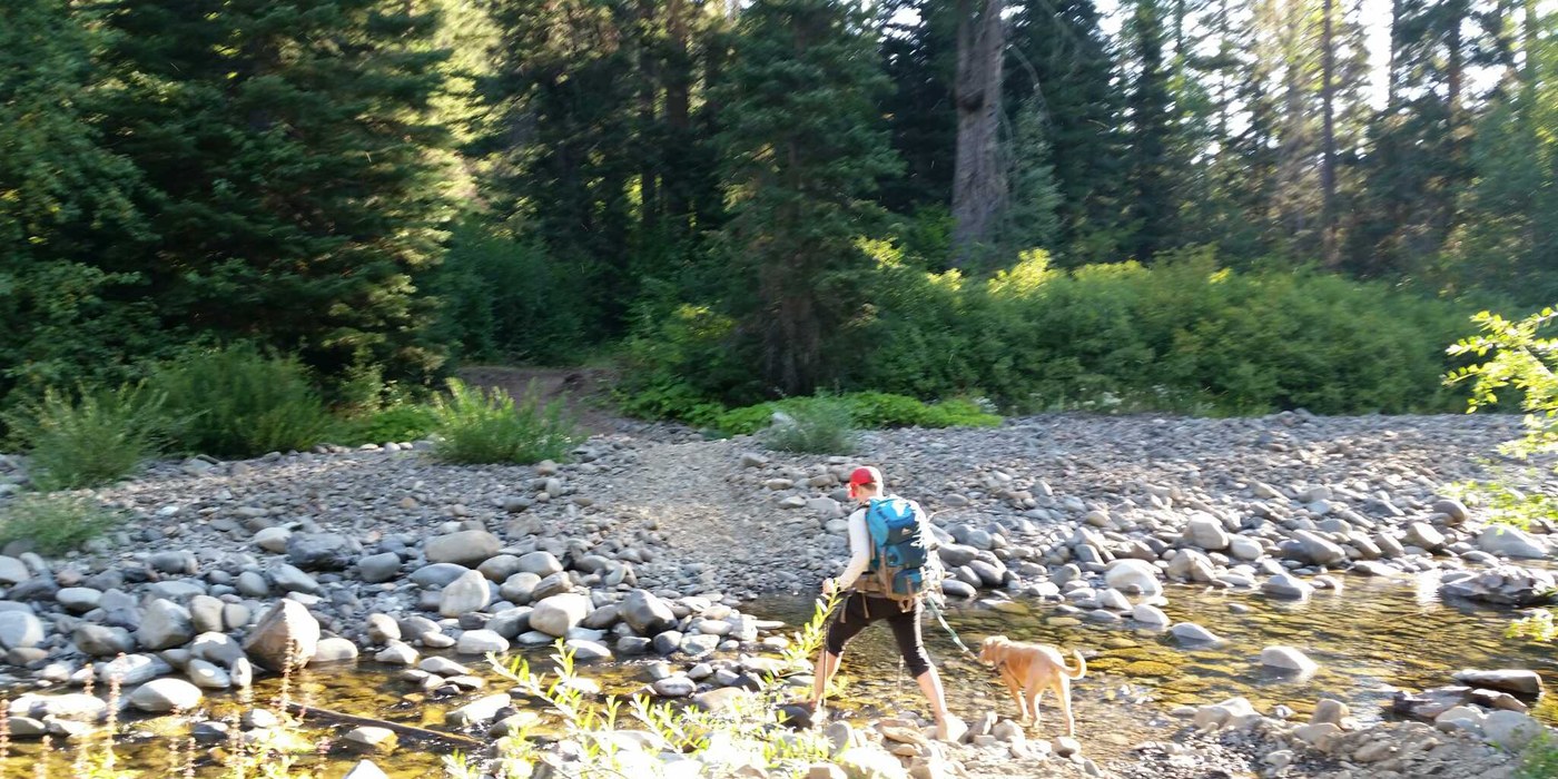 The trail weaves back and forth across the river.