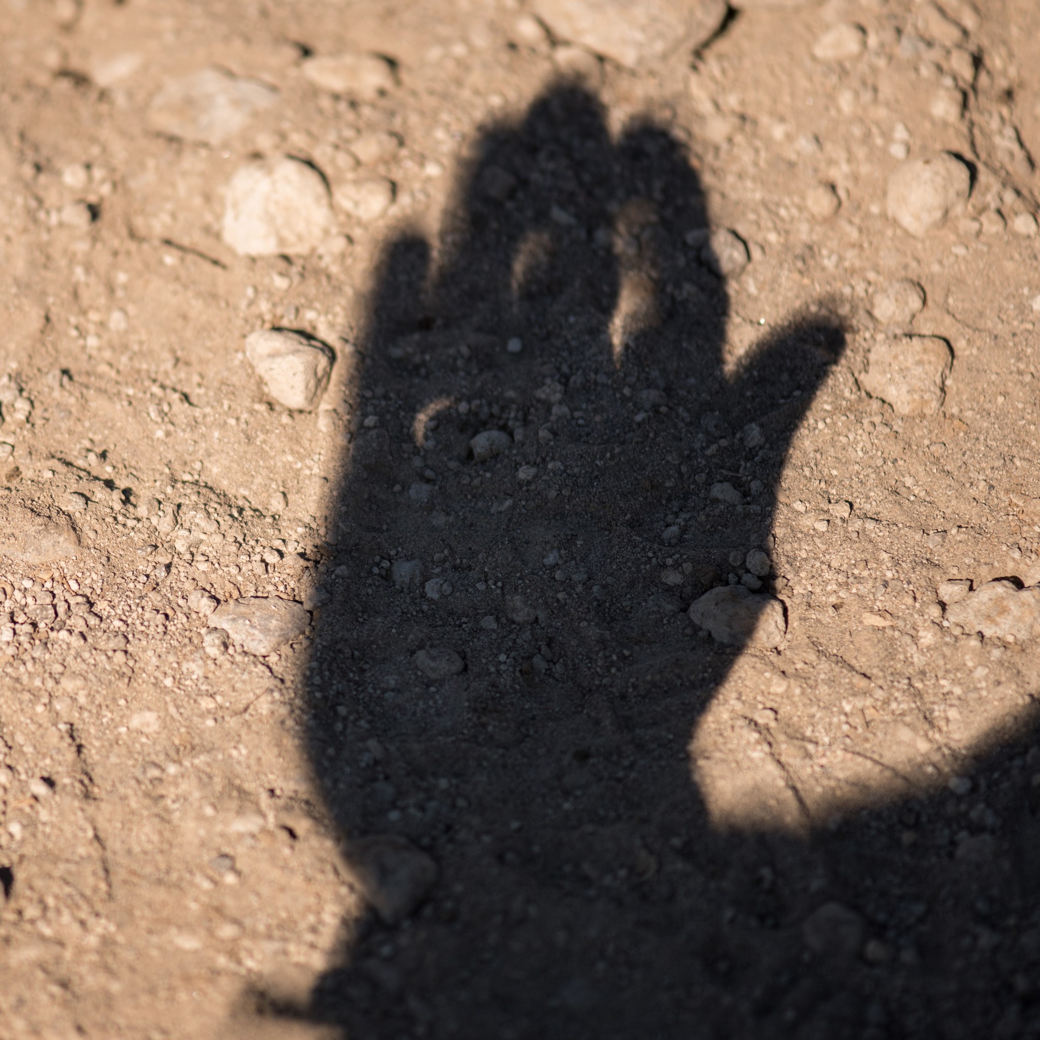 Crescent-shaped pinhole effect at the eclipse's peak. Photo by Jesse Van Hoy.