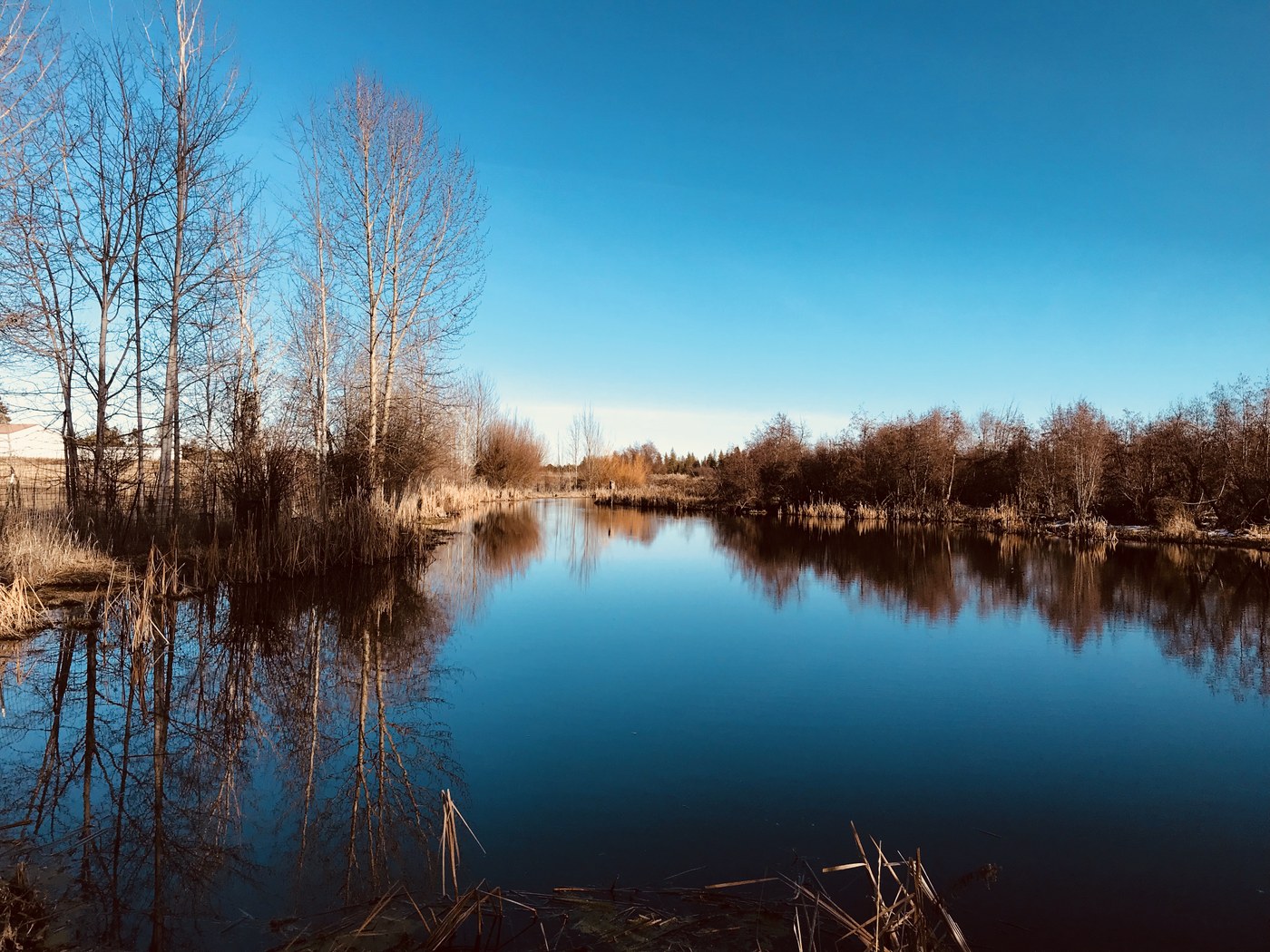 Ponds sparkle in winter sunshine