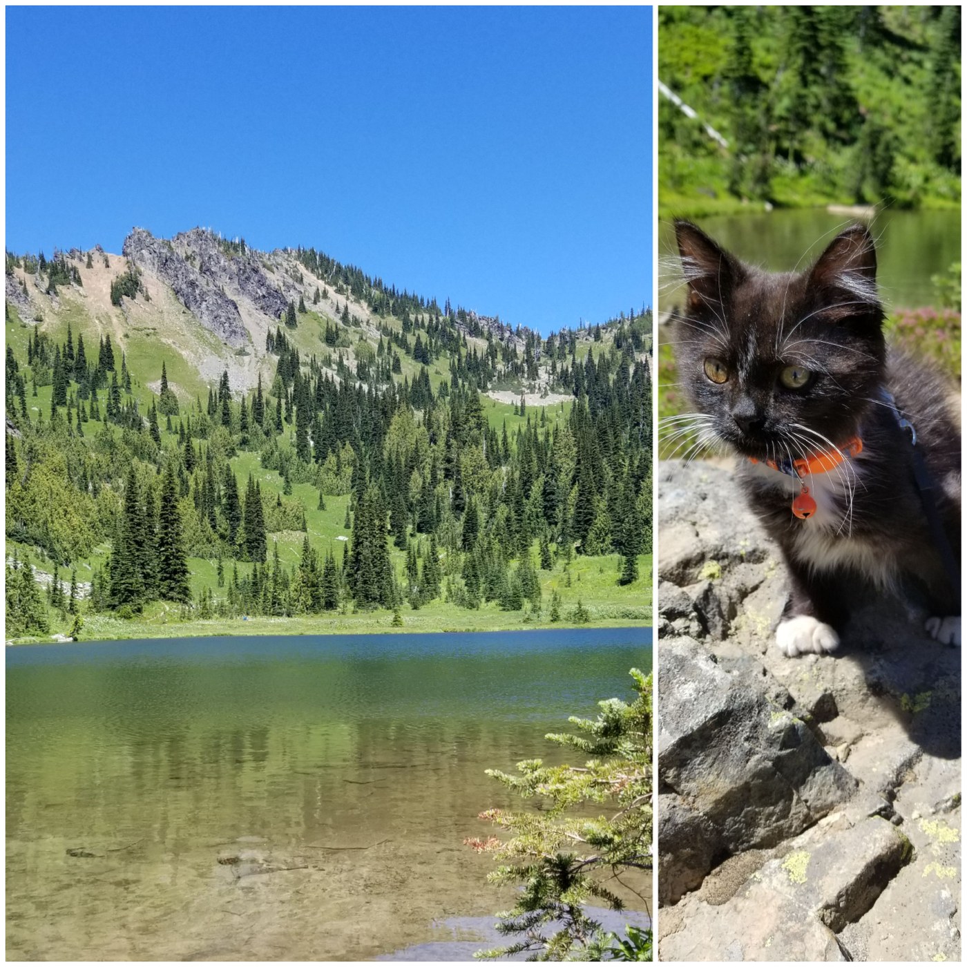 Worth the bug bites