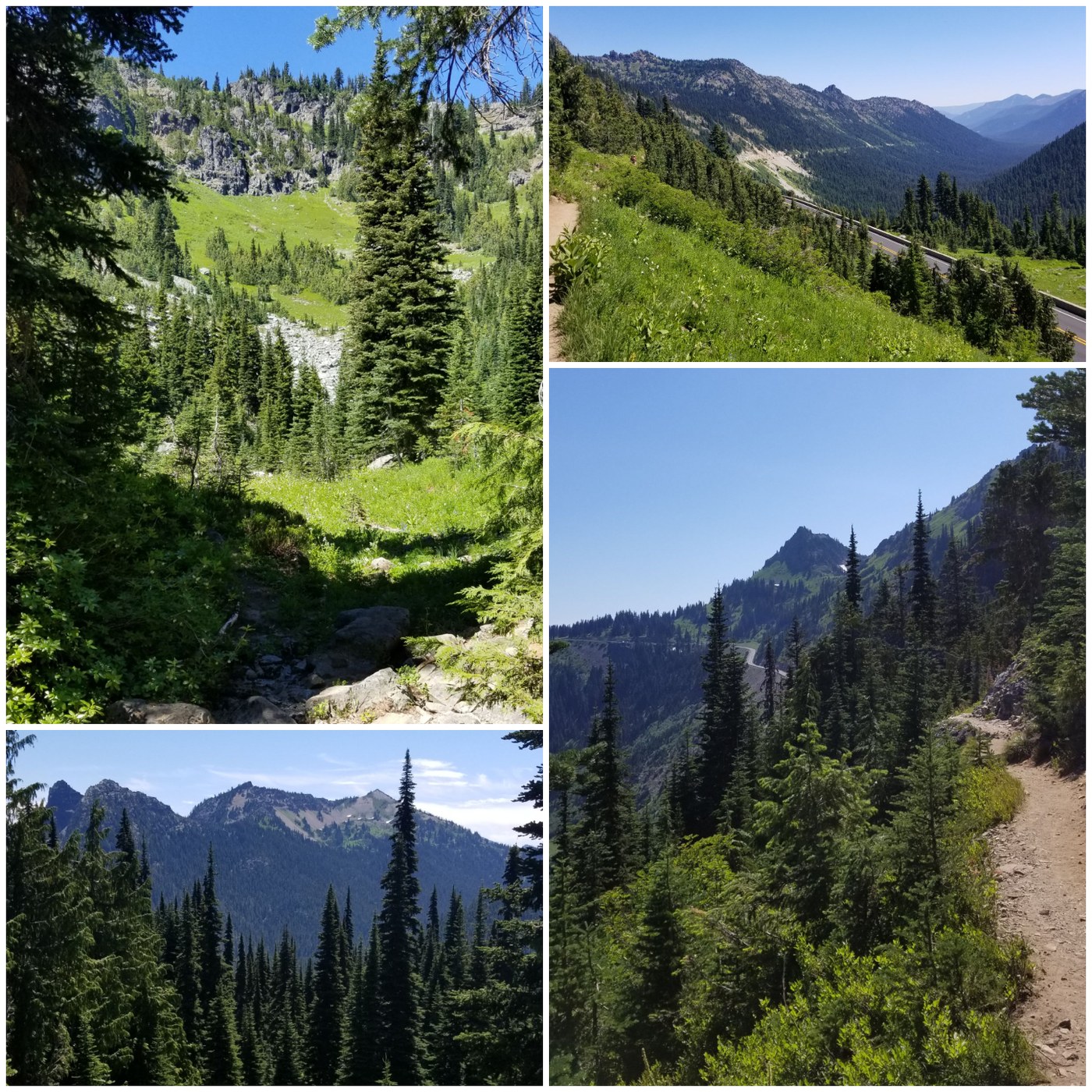 Those views!