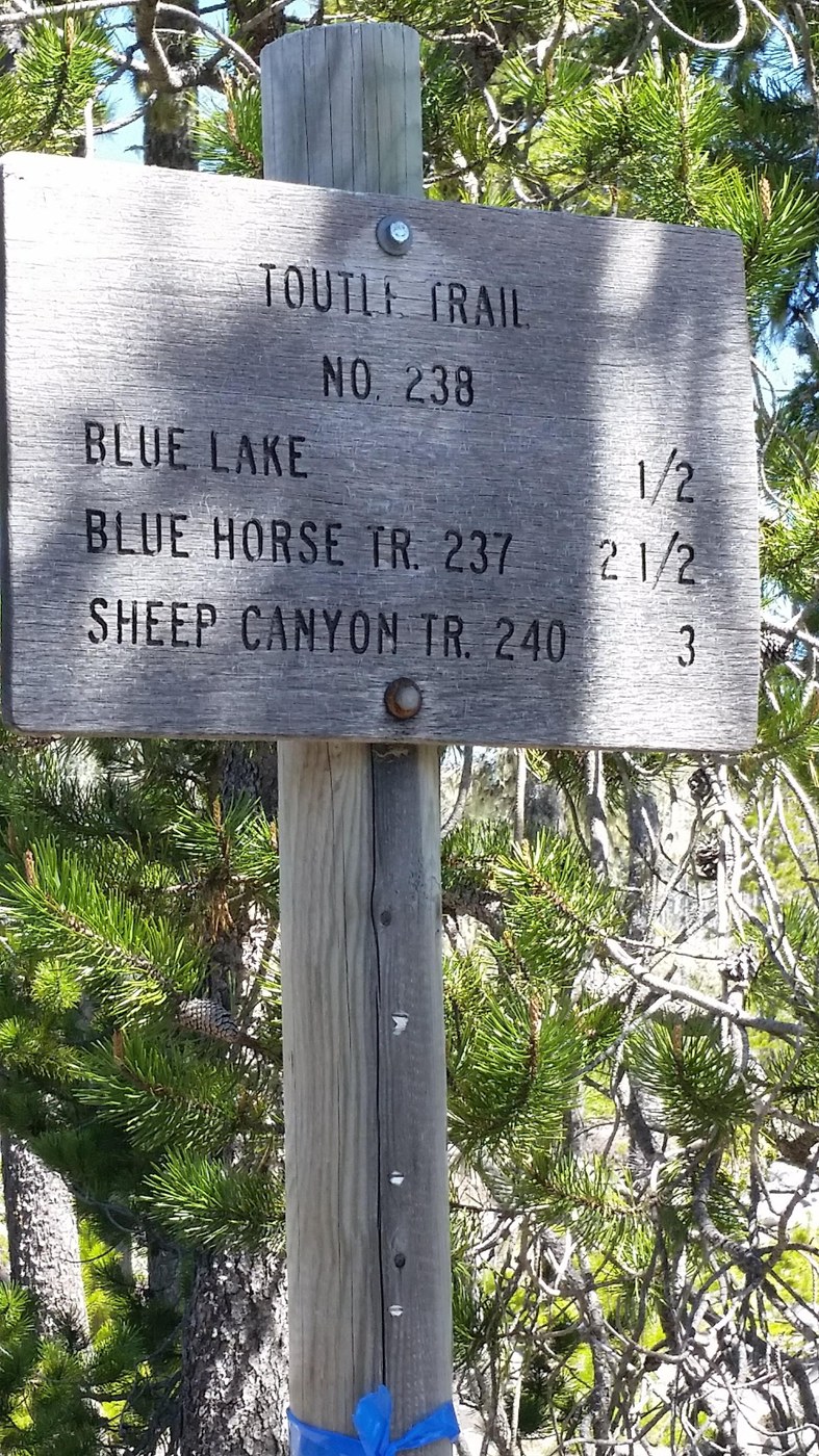 Crossroads sign to the left