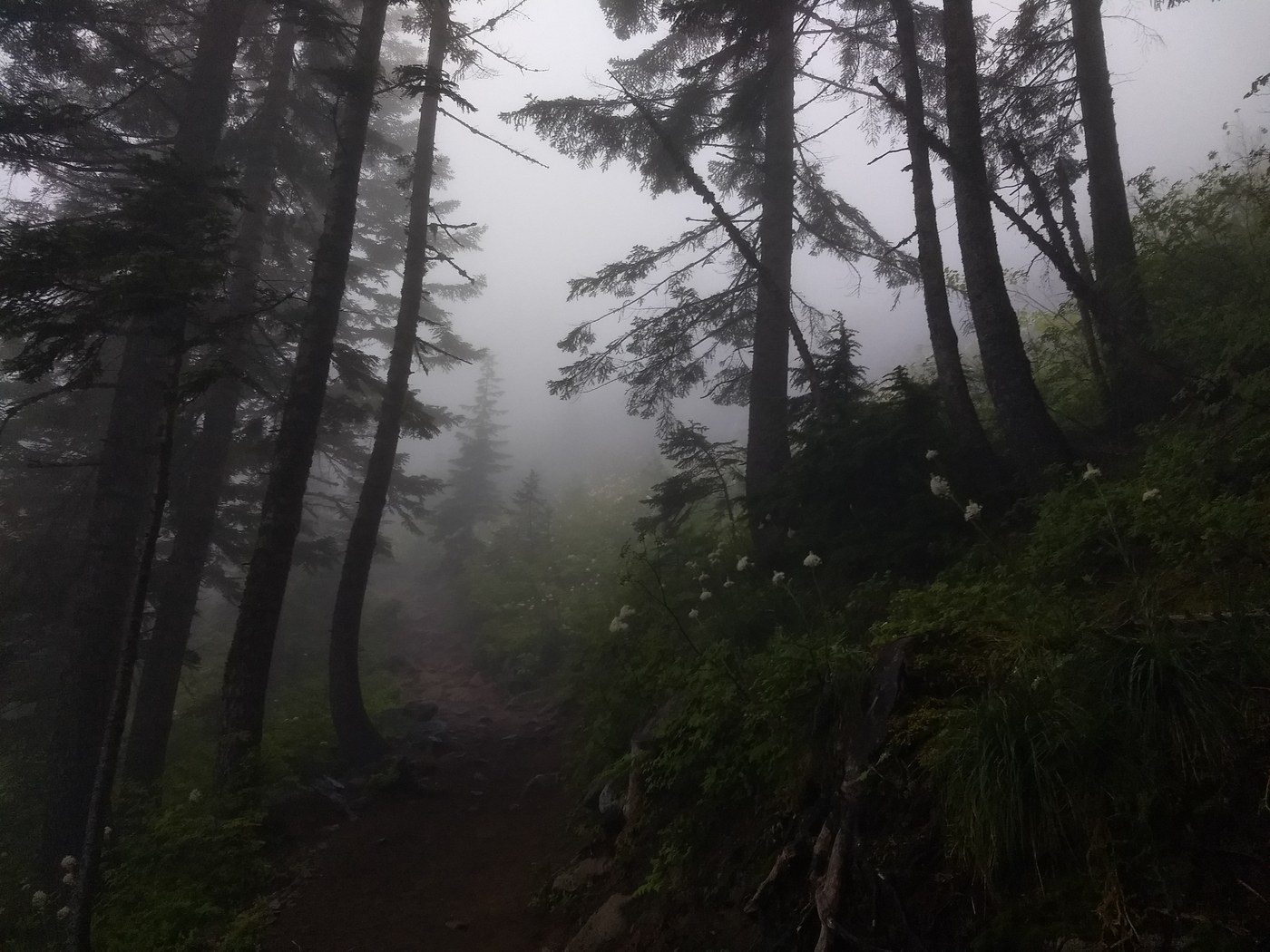 Love this foggg. Photo by nwroth.