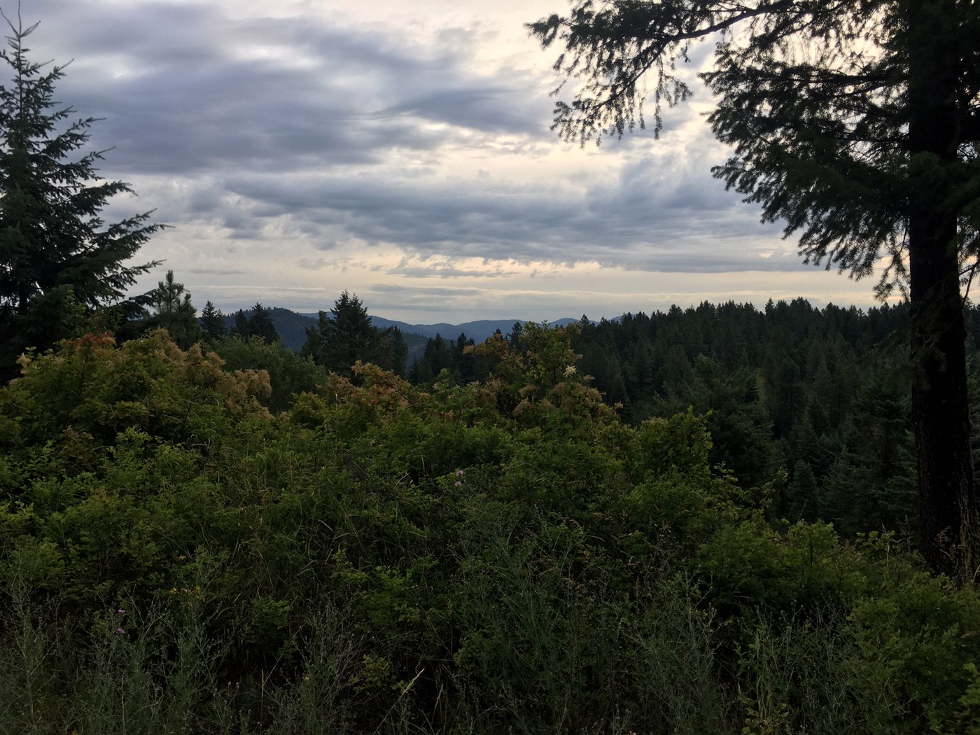 Antoine Peak Conservation Area - Summit Loop by Christopher Pawlowski