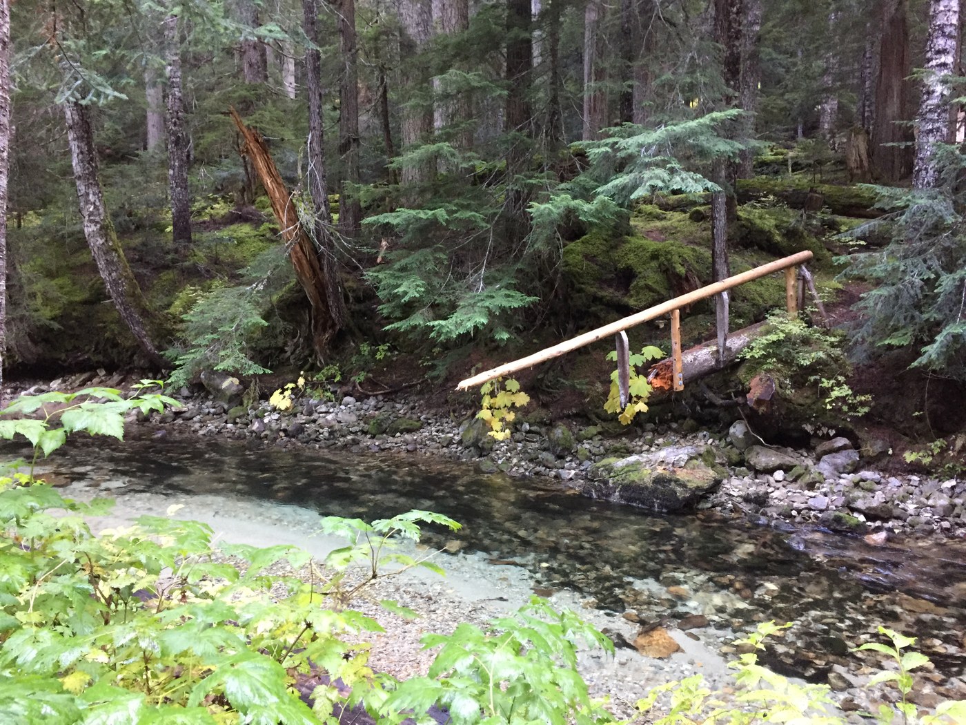 bridge to nowhere