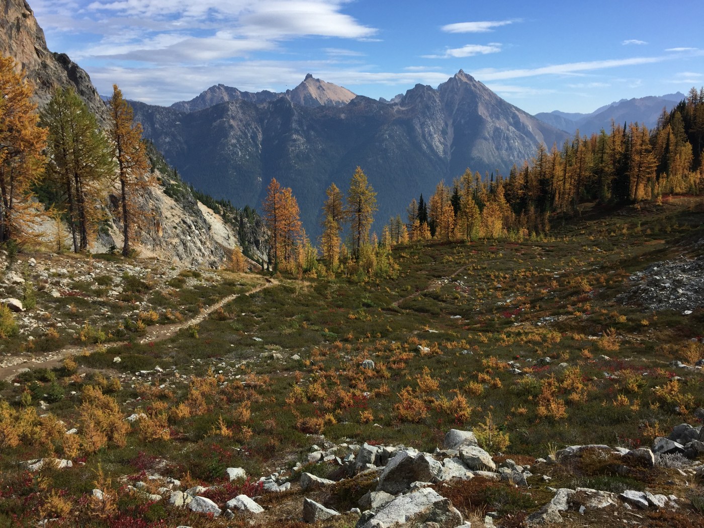 larches at easy pass