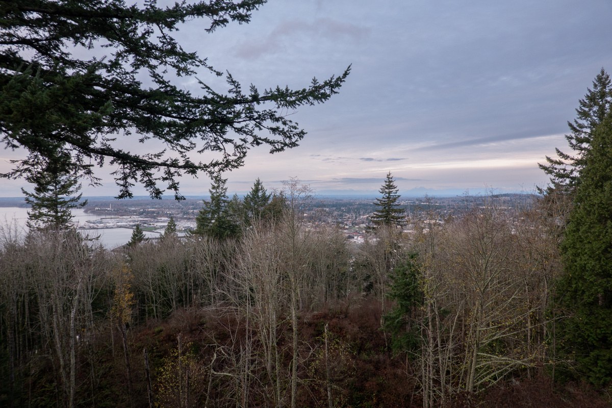 View from the lookout tower