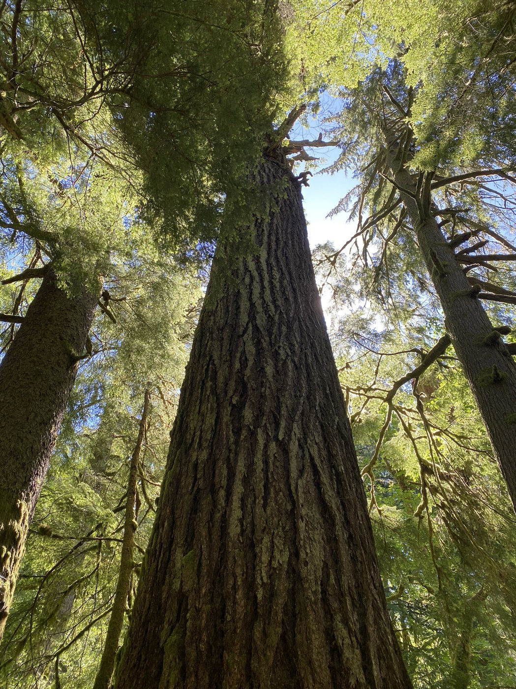 Twin Falls by kandls5