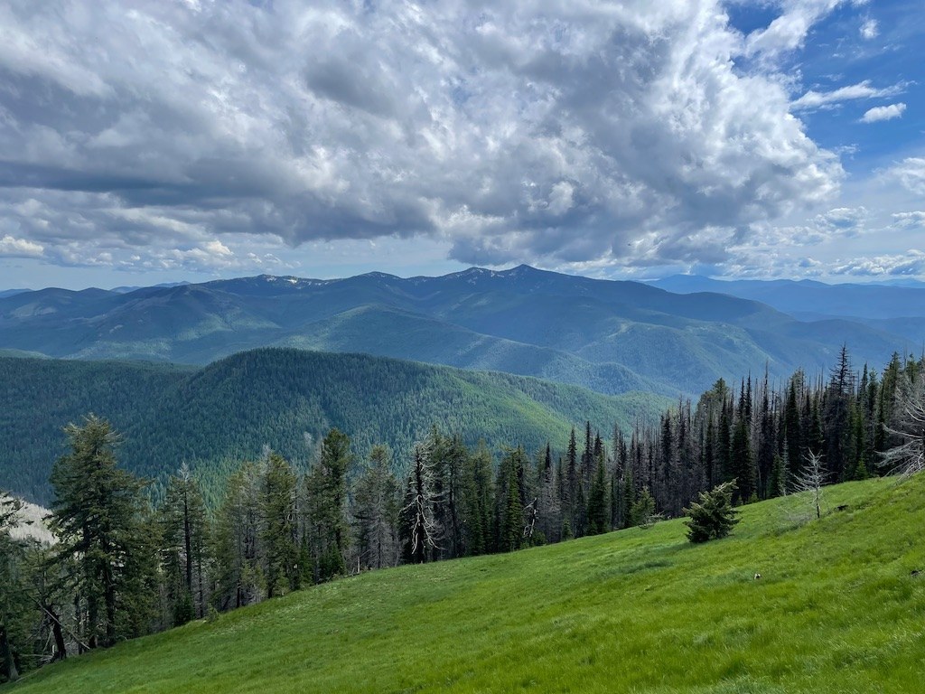 Meadows and Molybdenite Mtn