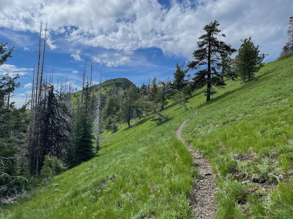 Summit ahead
