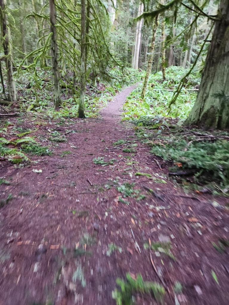 Large wide trails for the outer loops.