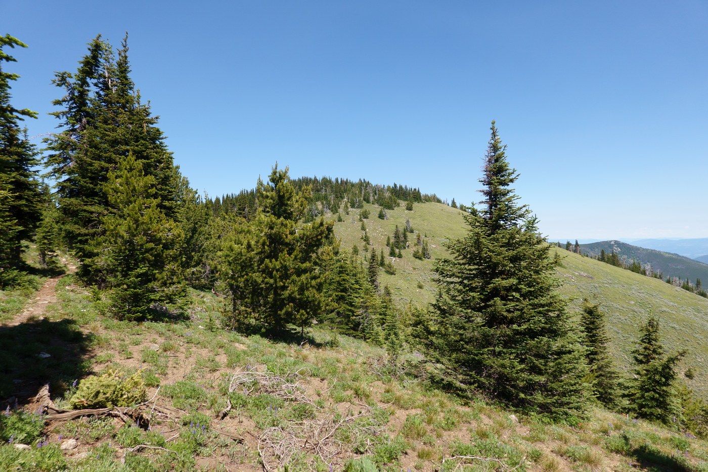 Wapaloosie Mountain