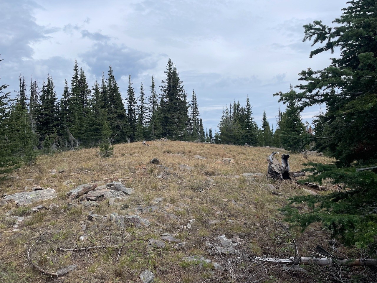 Wapaloosie Mountain Summit.