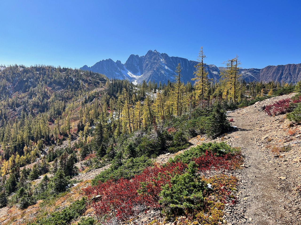 Fall colors on the PCT as it approaches Mount Ballard.