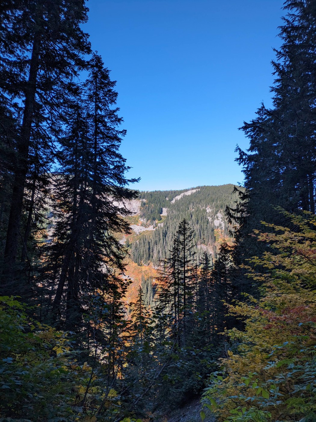 Autumn colors in the distance