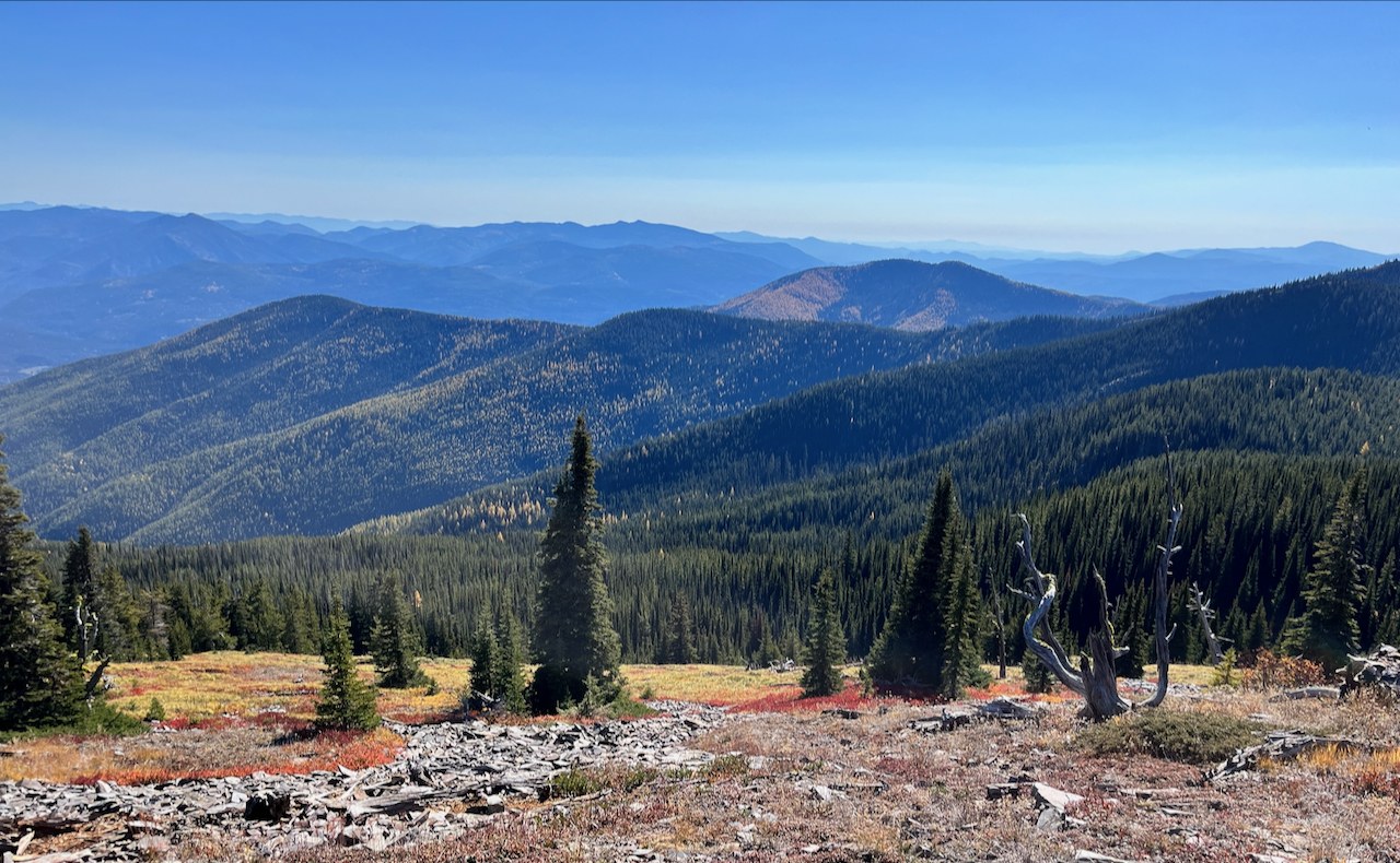 Looking southeast from the upper trail.