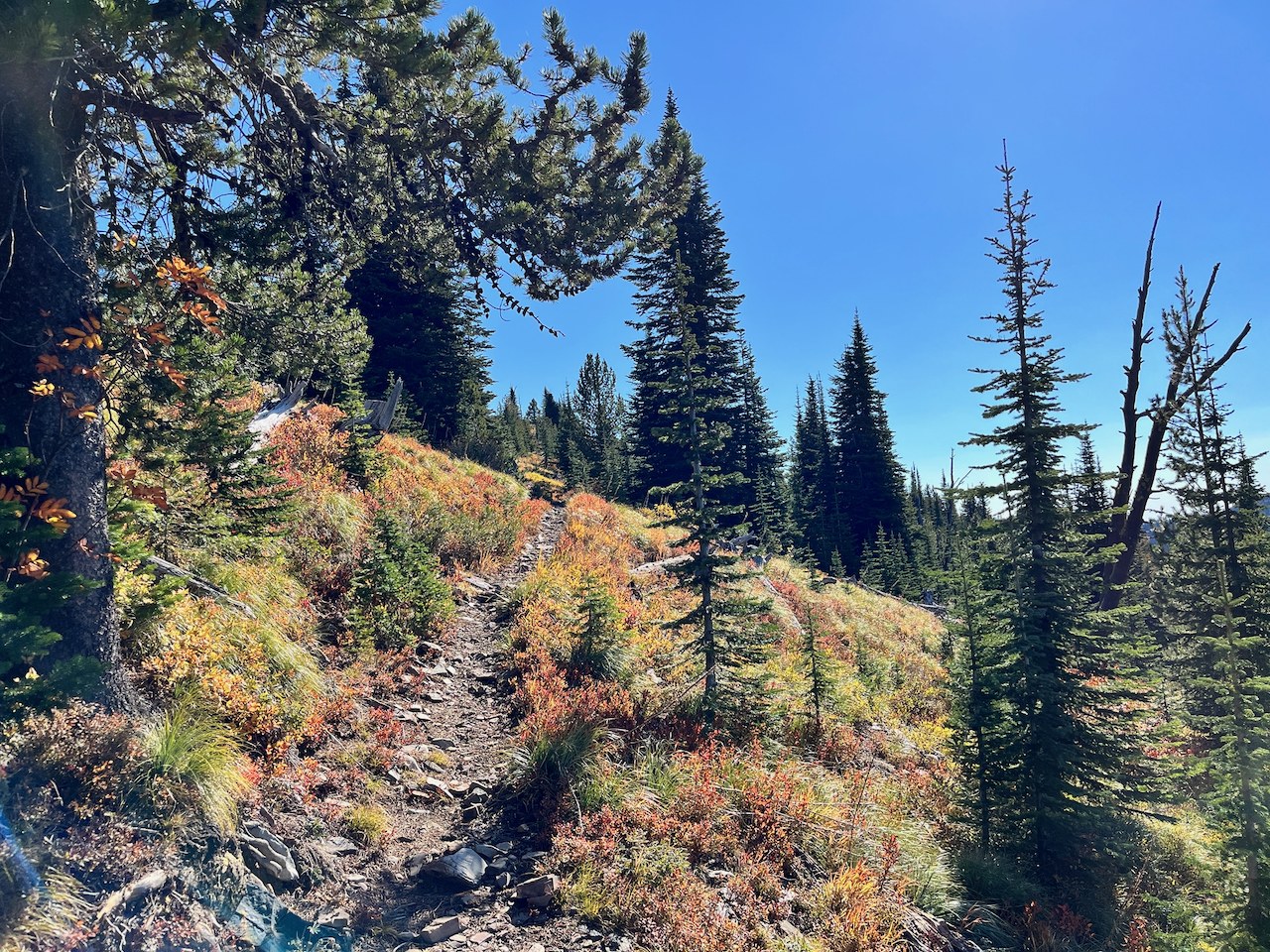 The rocky climb near the top of Abercrombie Mountain in October. Photo by DaphneF The rocky climb near the top of Abercrombie Mountain in October. Photo by DaphneF