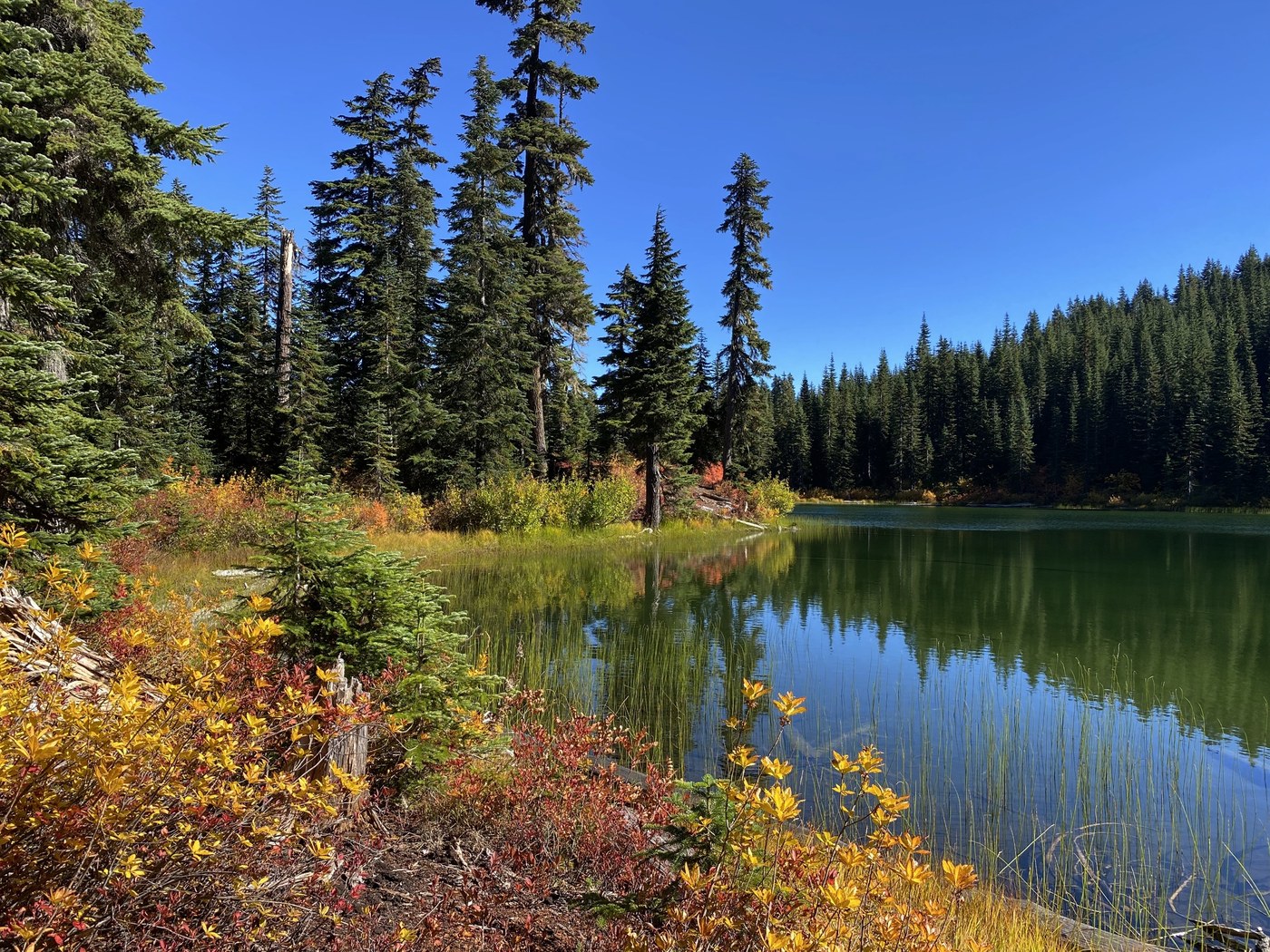 Fall color at Thorp Lake by JKnapper Fall color at Thorp Lake by JKnapper