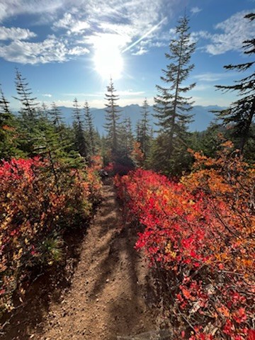 More Fall Color