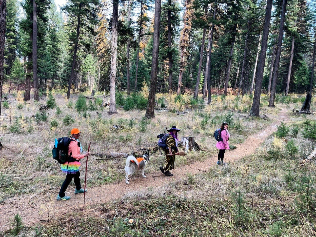 On the trail.
