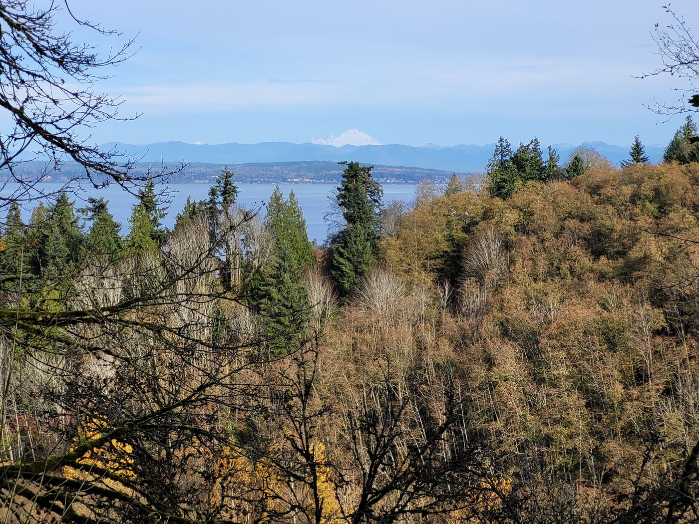 Views of Mount Baker and the Puget Sound from a trail at Japanese Gulch. Photo by MeLuckyTarns.
