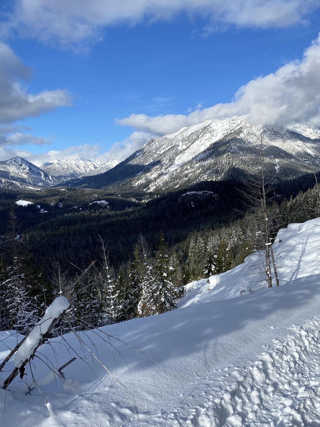L to R: Cone, Daniel, Davis