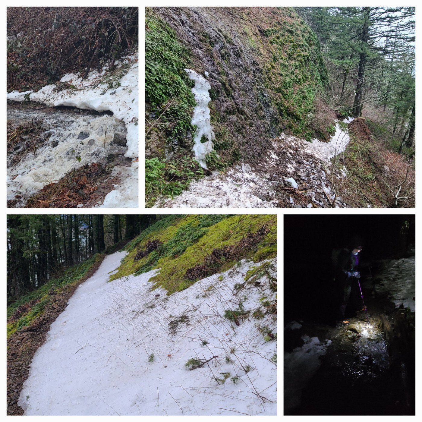 Trail goodness as snowpocalypse melts