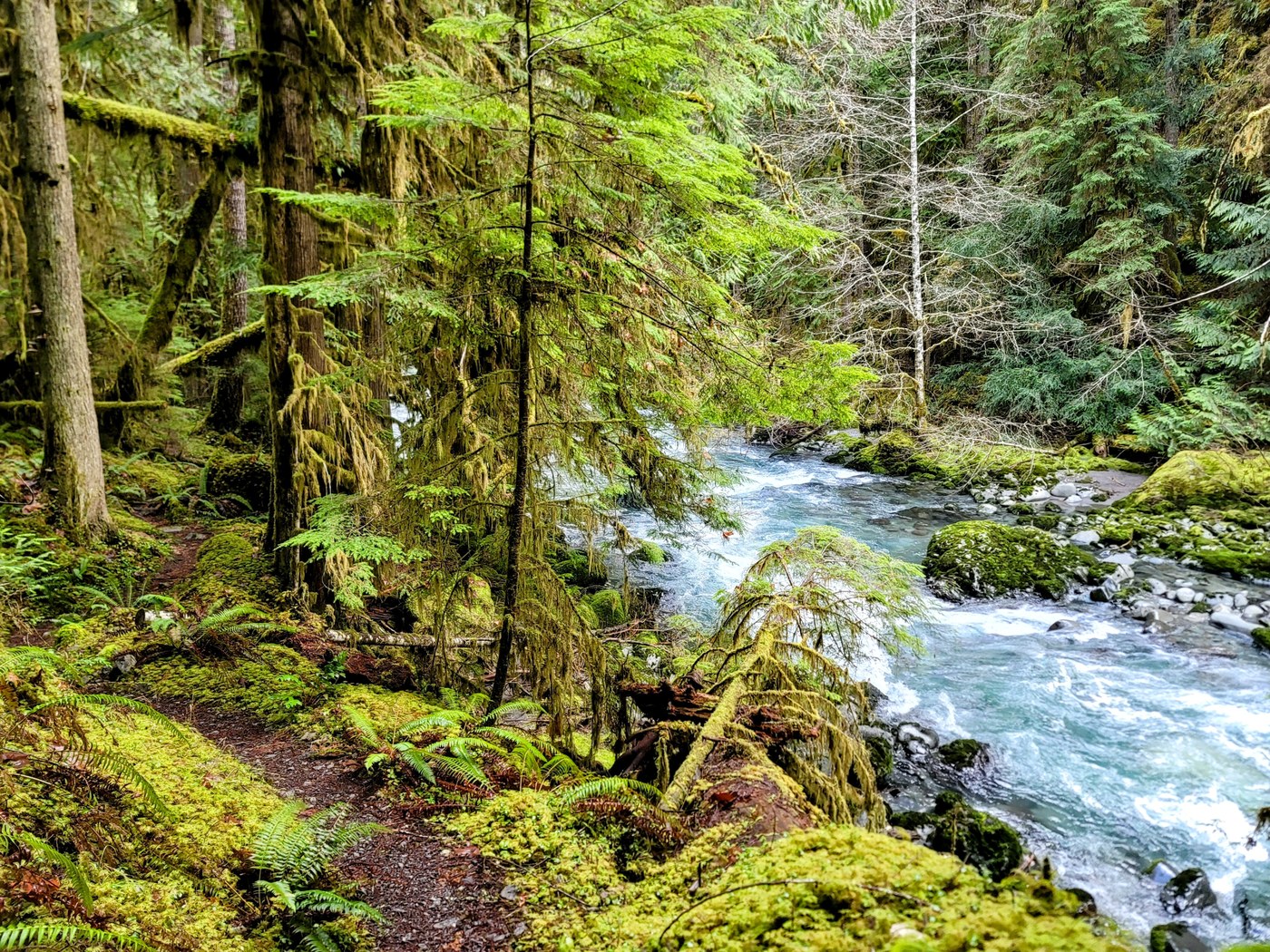 Lower Gray Wolf River by Eric Katanaboy Lower Gray Wolf River by Eric Katanaboy