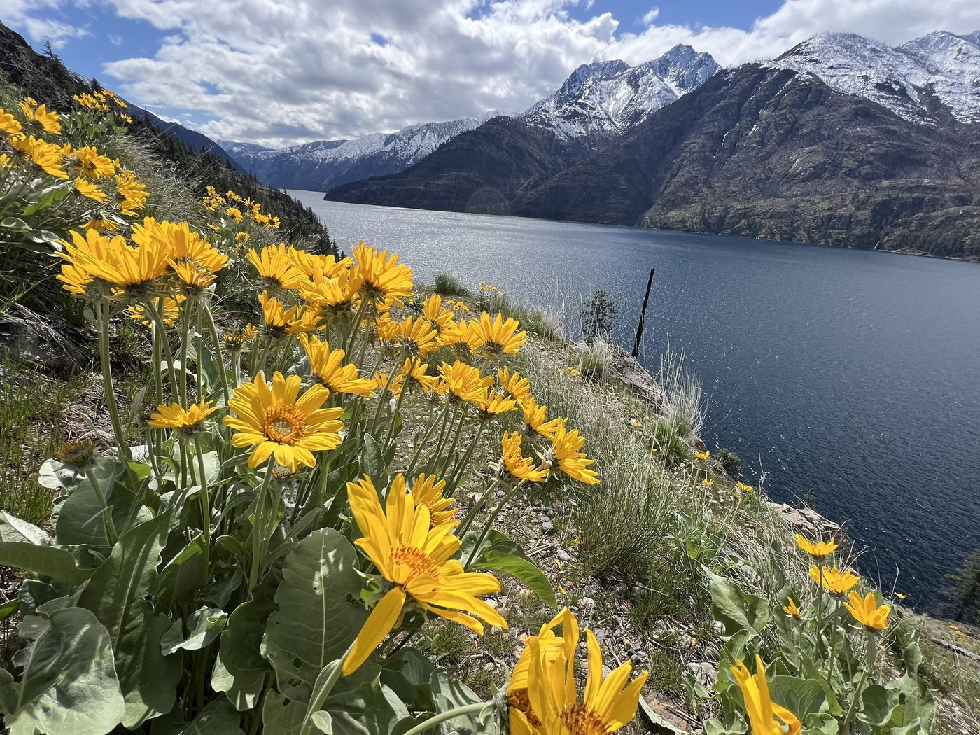 Chelan Lakeshore Trail by CJ Silvey