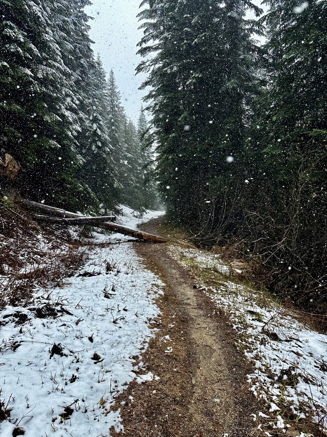 It continues to actively snow at higher elevations, please check mountain forecasts before venturing out.