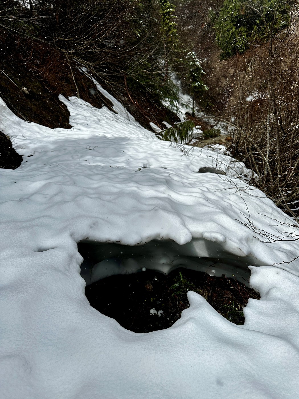 Creek holes with snow bridges 1-2 inches thick prove hazardous this time of year. Stop and listen for running water under the snow pack