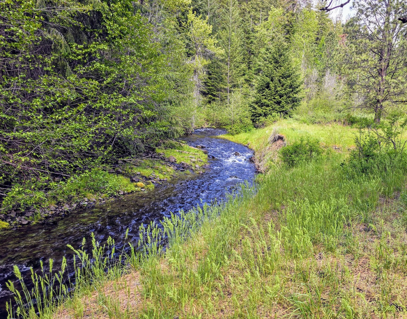 Cascade Park. A stream flowing through Cascade Park at Wenas Wildlife Area. Photo by AlpsDayTripper.