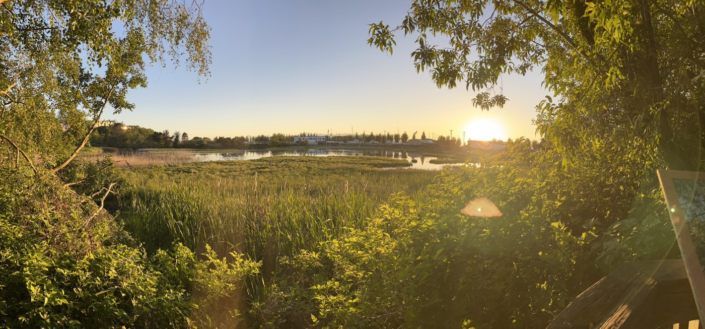 Edmonds Marsh by Linnea Johnson