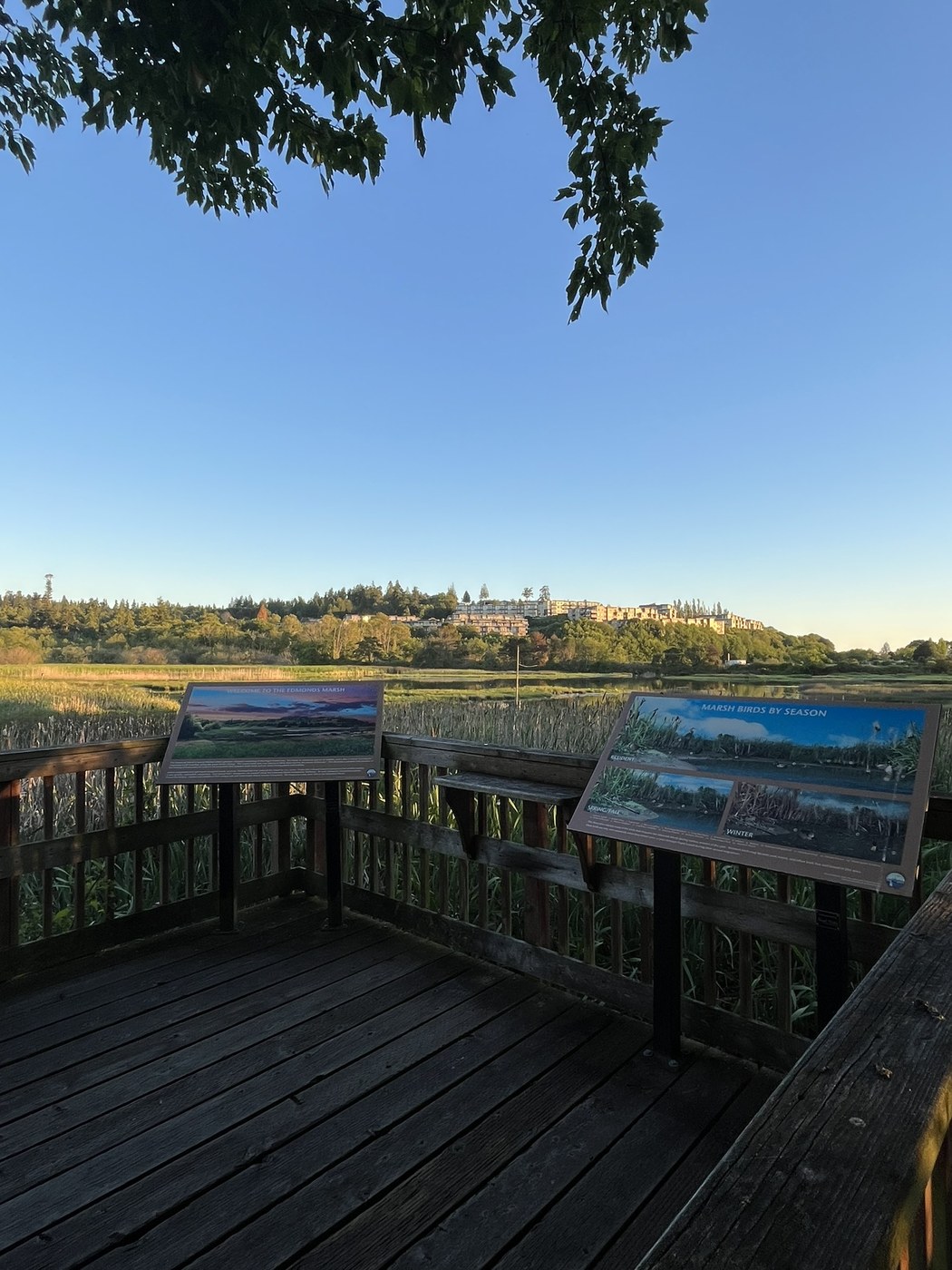 Edmonds Marsh by Linnea Johnson