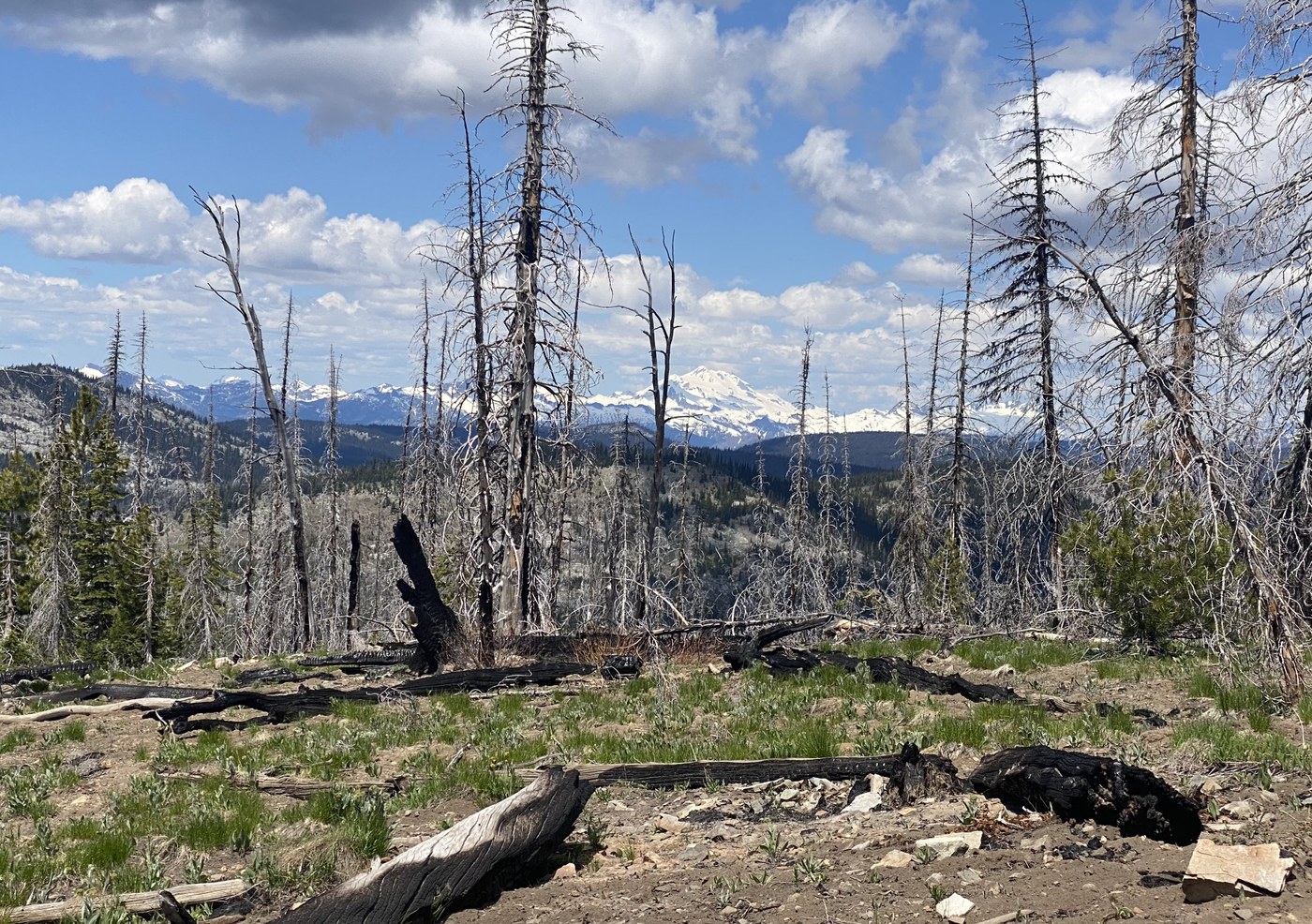 Glacier Peak from one of the burned areas