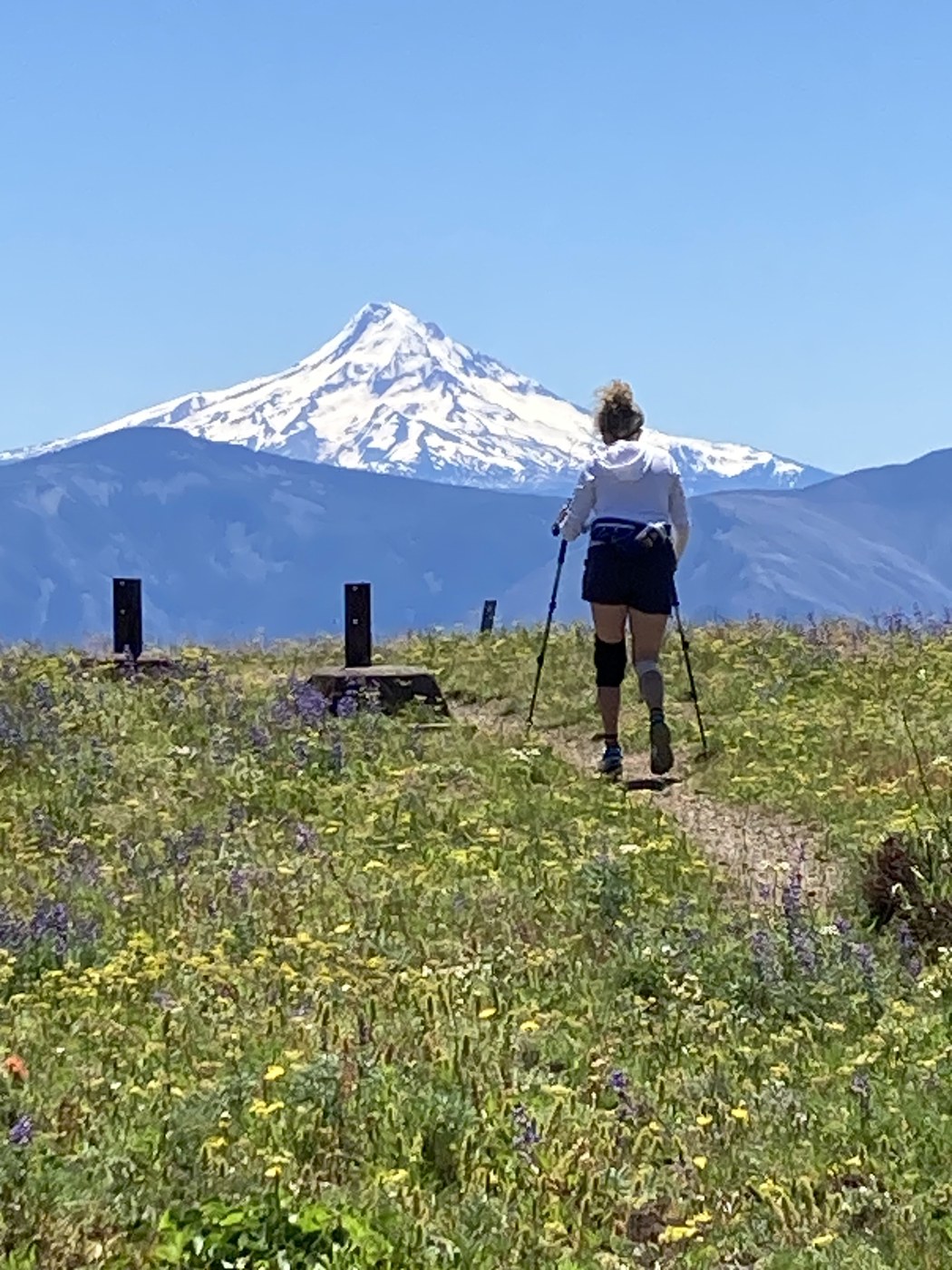 Mt. Hood to the south.
