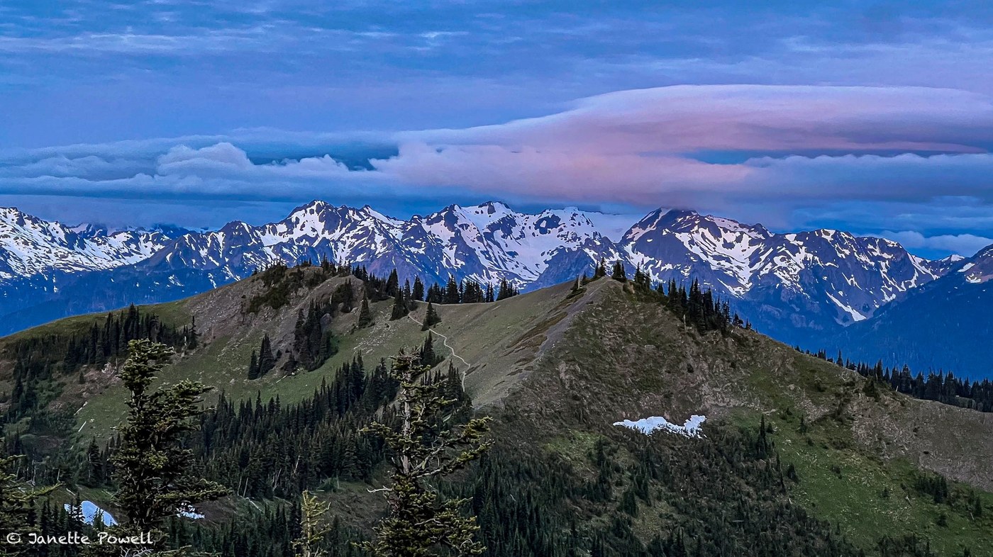 Klahhane Ridge by Janette Powell