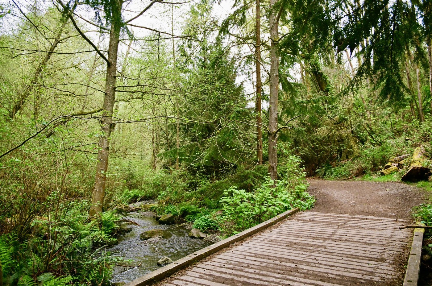 Carkeek Park. Photo by cphamhike. A boardwalk over a stream at Carkeek Park. Photo by trip reporter cphamhike.