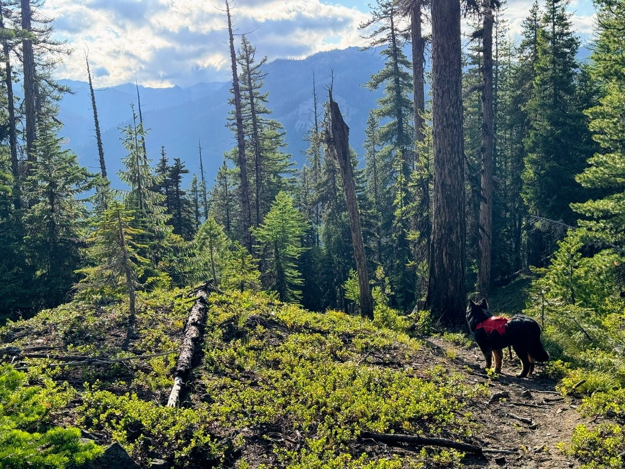 Coming down the 958B